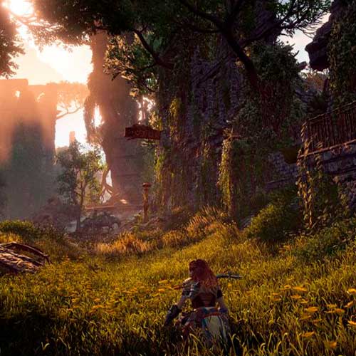 Horizon Zero Dawn Complete Edition Cd Key